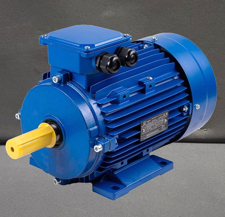 Электродвигатель общепром. АИР  56A2 380V 0,18кВт 3000об/мин M2081(лапы+фланец)